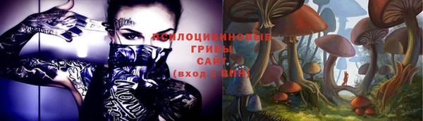 мдпв Семёнов